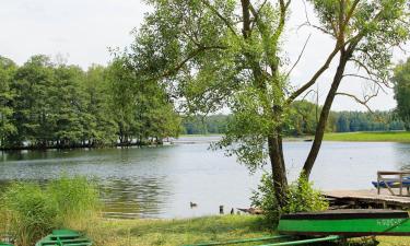 Goedkope hotels in Tytuvėnai