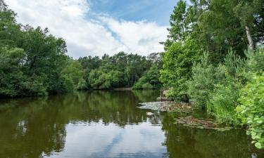 Strandhäuser in Bergentheim