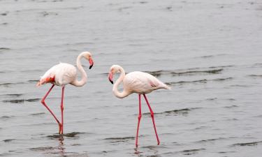 Vacaciones baratas en Ondangwa