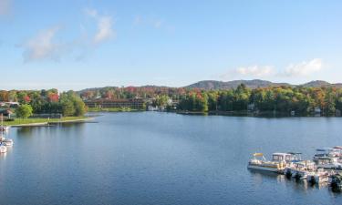 Hotels met Zwembaden in Old Forge