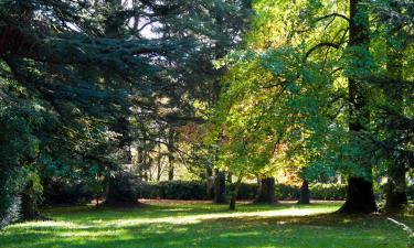 Parkolóval rendelkező hotelek Strümpfelbrunnban