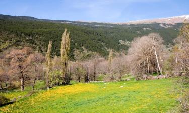 Cabañas y casas de campo en Orriols