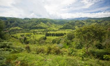 Hoteles familiares en Altagracia