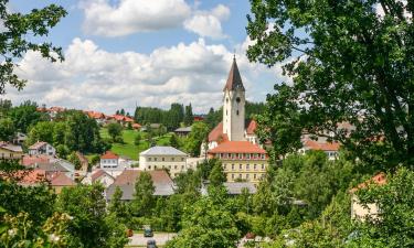 Apartamentos em Bad Zell