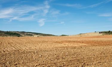 Hoteles económicos en Villagonzalo Pedernales