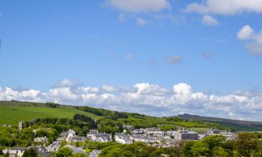 Pet-Friendly Hotels in Princetown