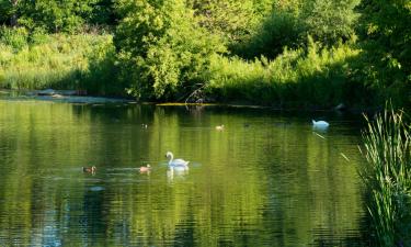 Отели с парковкой в городе Roussent