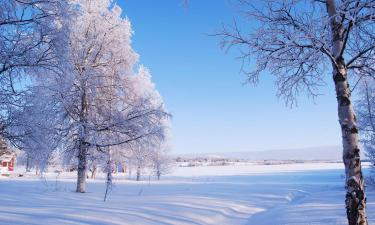 Pet-Friendly Hotels in Övertorneå