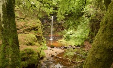 Hoteluri în Dalmellington