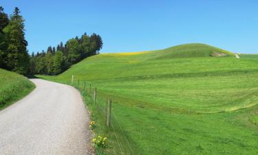 Hotels with Parking in Schangnau