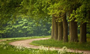 Alquileres vacacionales en Doldersum