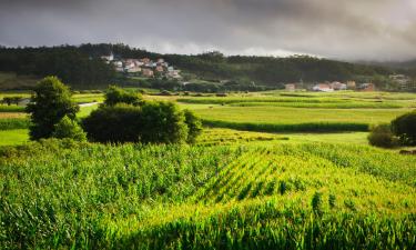 Ferieboliger i Arrueiro