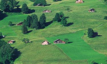 Obiekty na wynajem sezonowy w mieście Valezan