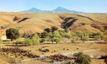 Hotel pet friendly a Patagonia