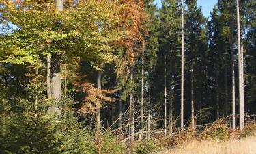 Hoteli s parkiralištem u gradu 'Wildewiese'