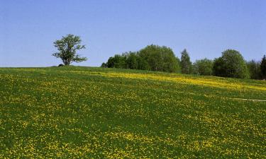 Hoteller i Värska