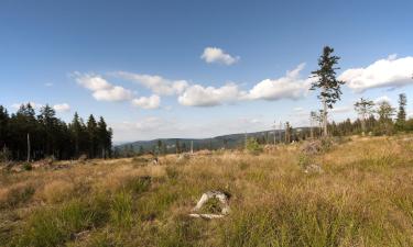 Strutture sulle piste v a Špičák