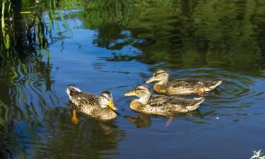 Hotels with Parking in Bledington