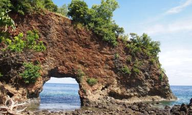 Vacaciones baratas en Ambon