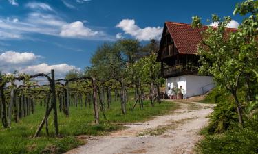 Parkolóval rendelkező hotelek Pöllauban