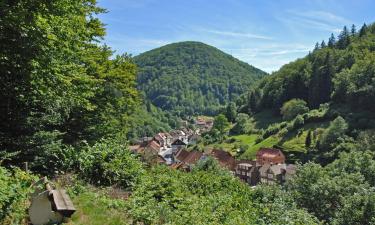 Appartementen in Wieda