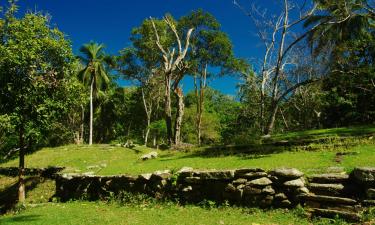 Alquileres temporarios en San Pedro