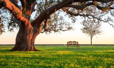 Hotels with Parking in Mandeville