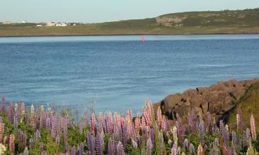 Hotel a Digby