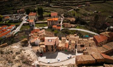 Hotel Ramah Hewan Peliharaan di Ademuz