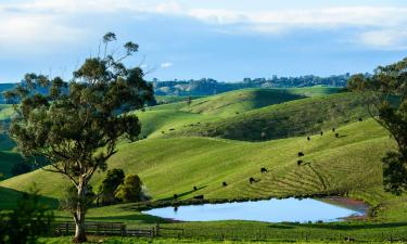 Hoteles en Traralgon