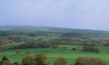 Viešbučiai mieste East Horsley