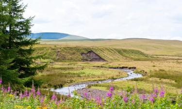 Hoteles en Llandovery