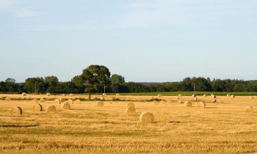 Cabañas y casas de campo en Watton