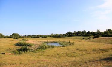 Отели с парковкой в городе Ongar