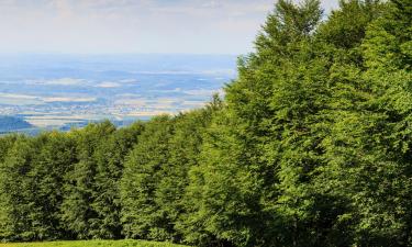 Cheap Hotels in Galyatető