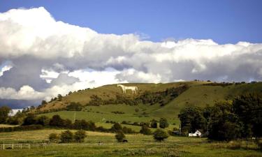 Bed and Breakfasts en Westbury