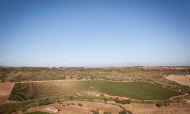 Casas y chalets en Niscemi