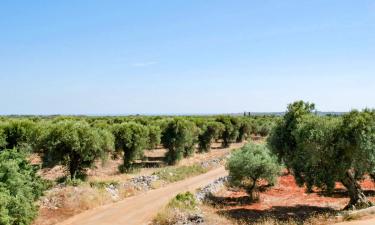 Ferienunterkünfte in Acquarica del Capo