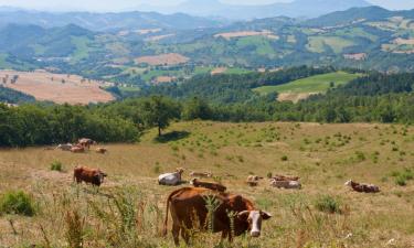 Ferieboliger i Montecalvo in Foglia