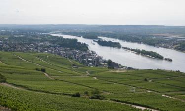 Cheap Hotels i Rheinau