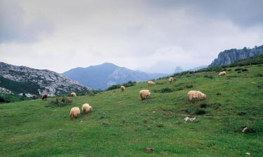 Dovolenkové prenájmy v destinácii Cardes