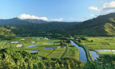 Hoteles con alberca en Hanalei