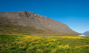 Holiday Rentals in Patreksfjörður