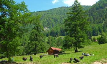 Ferienunterkünfte in Ernen