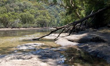 Hotels in Collie