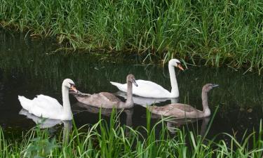 Hotels mit Parkplatz in North Stifford