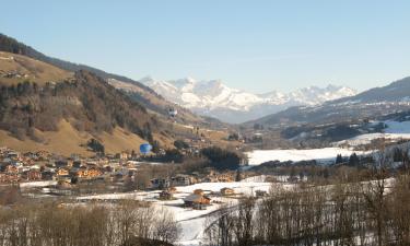 Smučarska letovišča v mestu Praz-sur-Arly