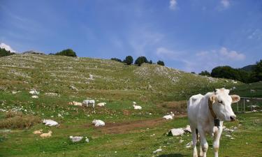 Levné hotely v destinaci Cisterna di Latina