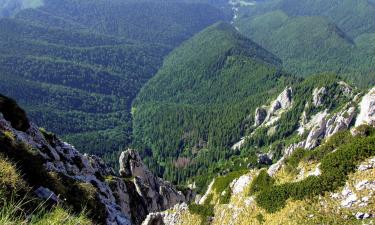 Viesu nami pilsētā Dimbovičoara