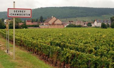 Hotels in Gevrey-Chambertin